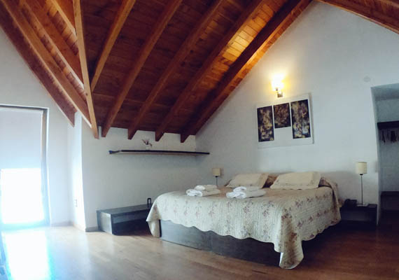 Lorem ipsum dolor sit amet, consectetur adipiscing elit. Phasellus quis elementum odio. Curabitur pellentesque, dolor vel pharetra mollis.